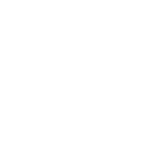 nestron-service-icon