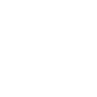 nestron-service-icon2