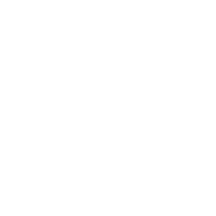 nestron-service-icon-3