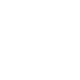 nestron-service-icon-4