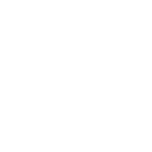nestron-service-icon-5